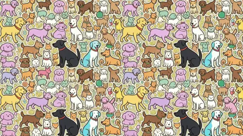 WAN Image 2.7 Pro Output